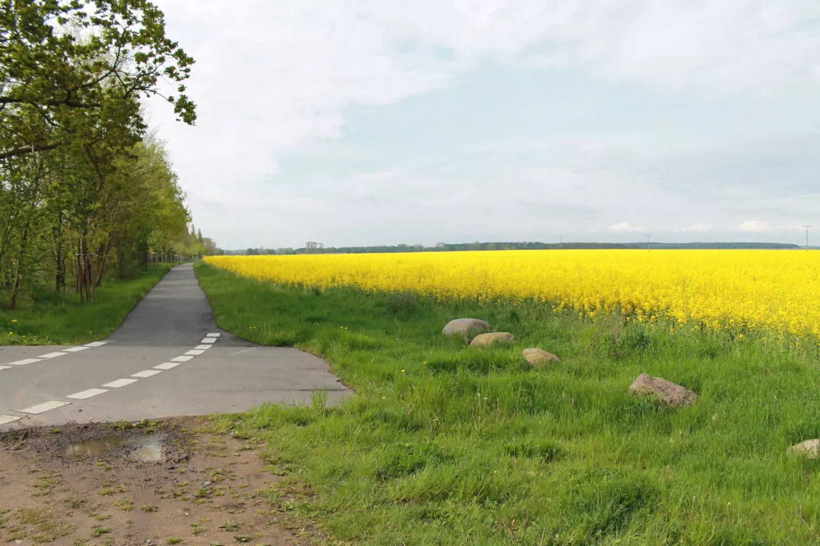 Seeblick-Gebiete Sommer 1 km