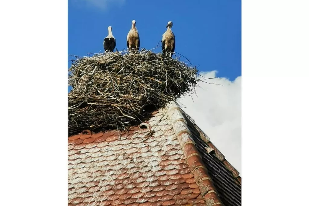 481556-Nicht getaggt