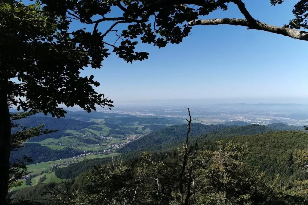 481556-Nicht getaggt