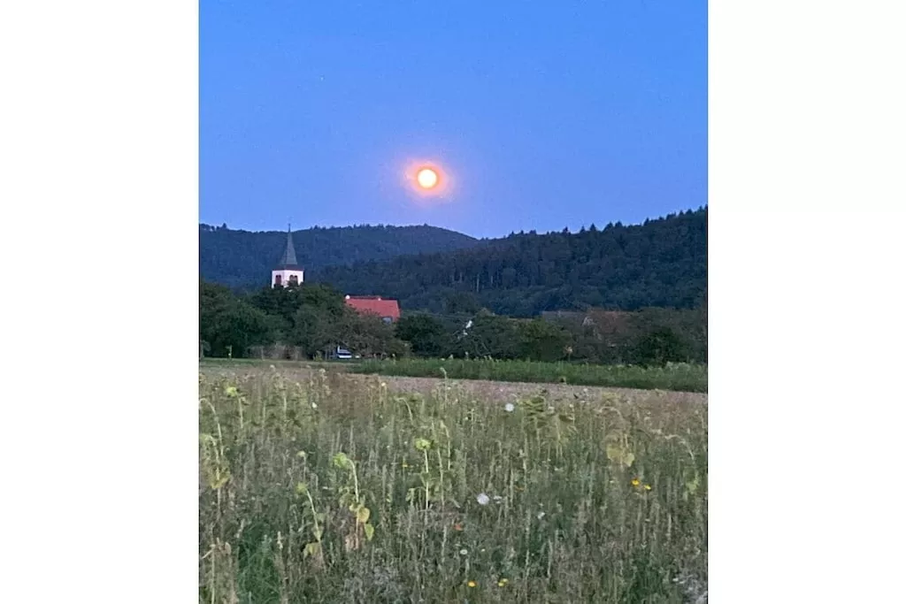 481556-Nicht getaggt