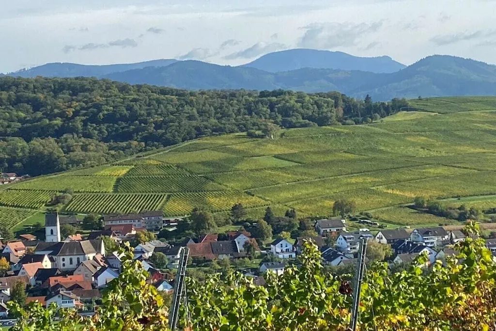 481556-Nicht getaggt