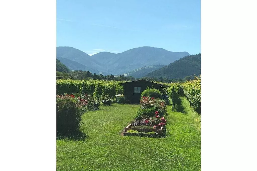 481556-Nicht getaggt