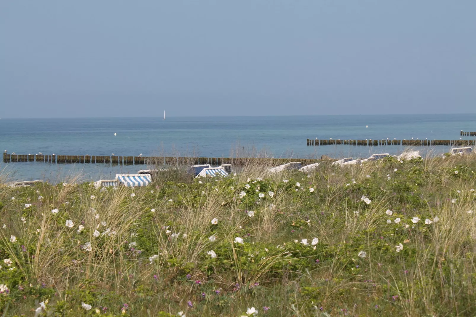 Hagen plus-Areas summer 20km