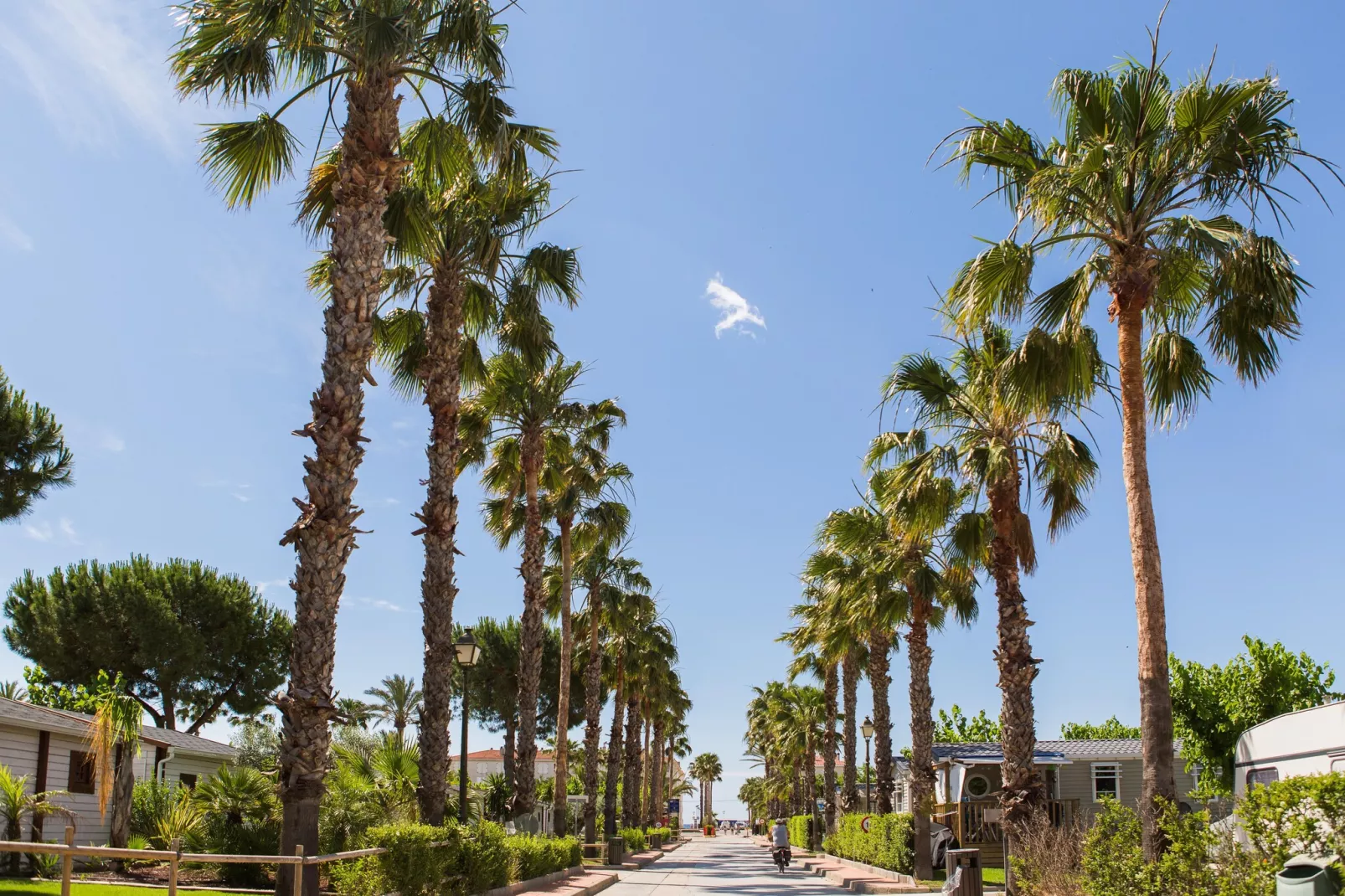 CAMPING ESTIVAL VENDRELL PLATJA BUNGALOW 4 STANDARD-Areas summer 1km