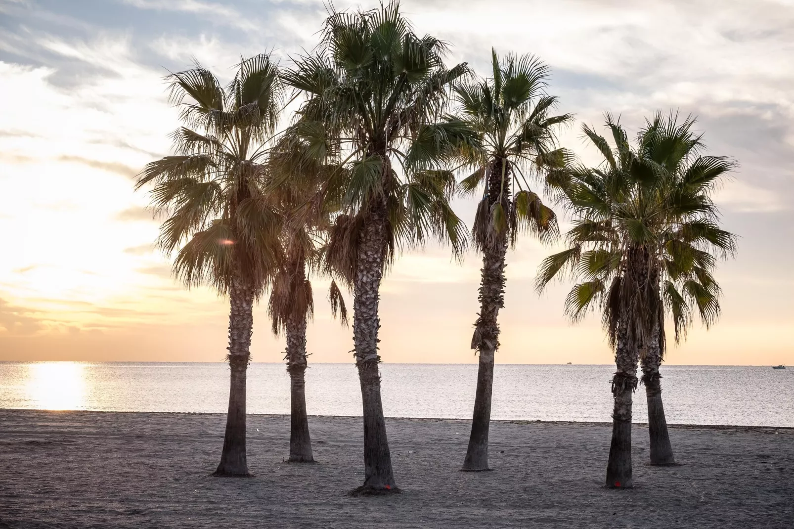 CAMPING ESTIVAL VENDRELL PLATJA  BUNGALOW TROPICAL 4/5-Gebiete Sommer 5 km