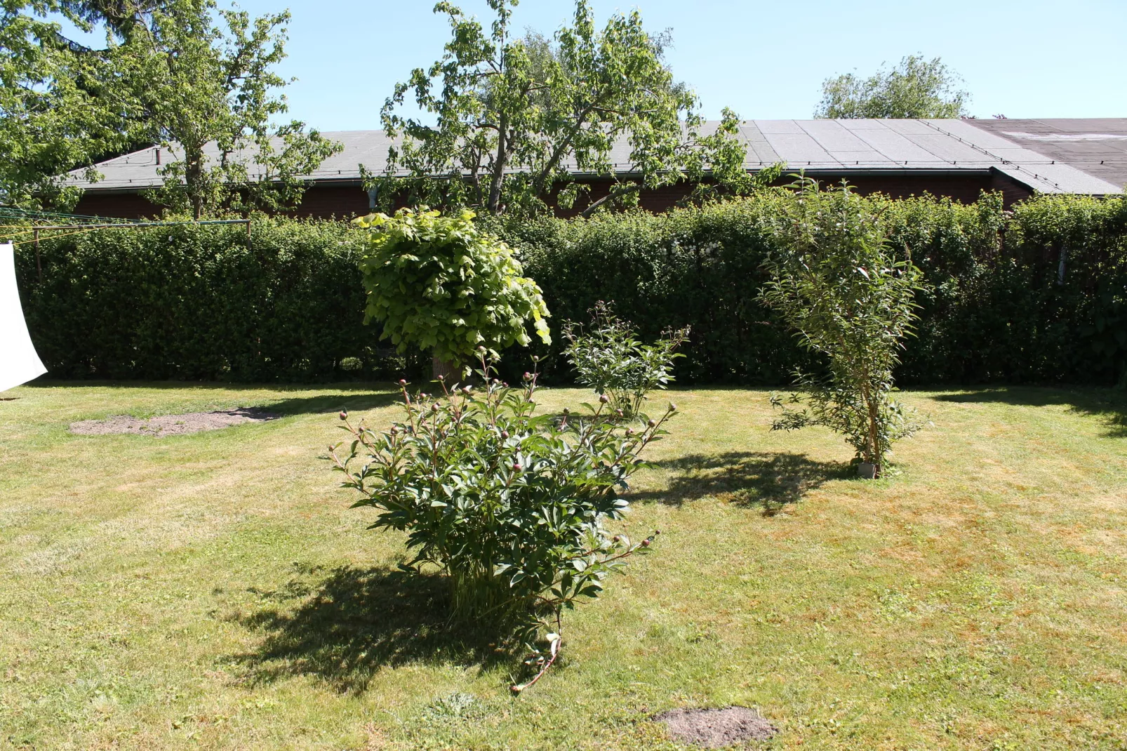 Ferienwohnung mit großem Garten-View summer