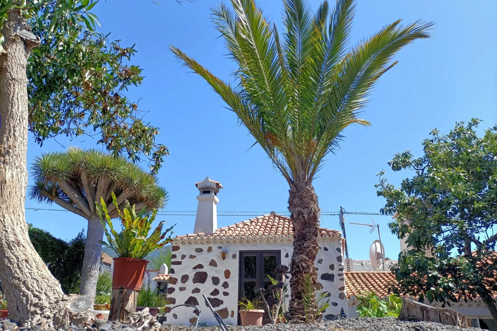 Elida-Exterior in summer