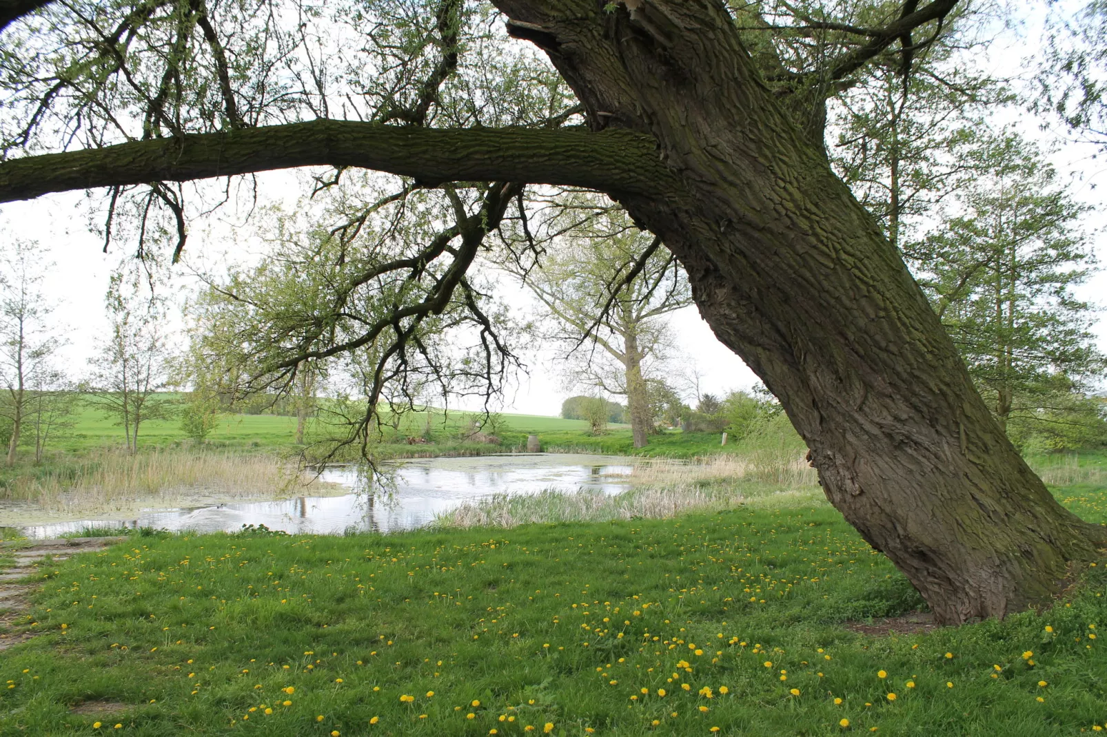 Bei Ostseebad Rerik-Gebiete Sommer 1 km