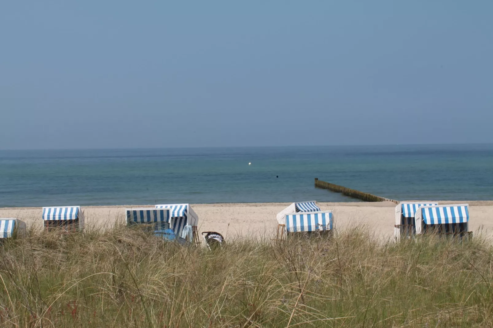 Bei Ostseebad Rerik-Gebiete Sommer 5 km