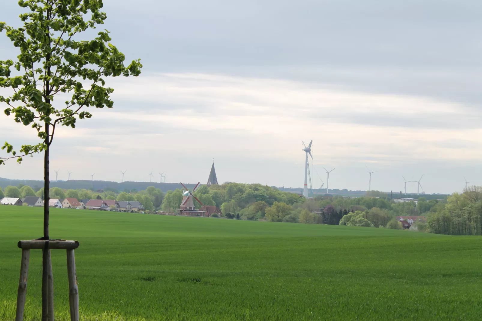 Bei Ostseebad Rerik-Aussicht Sommer