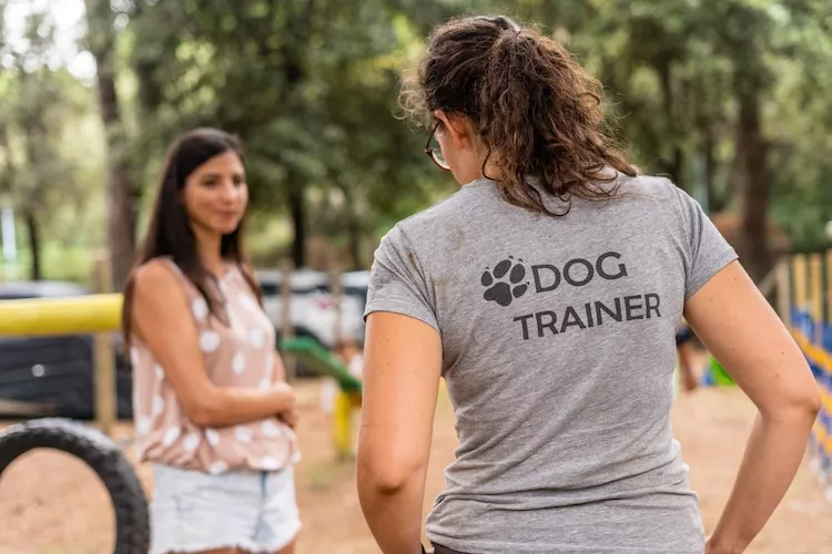Jesolo Mare Family Village Lido di Jesolo - Lodge Superior Dog 4 plus 1 pax-Installations du parc