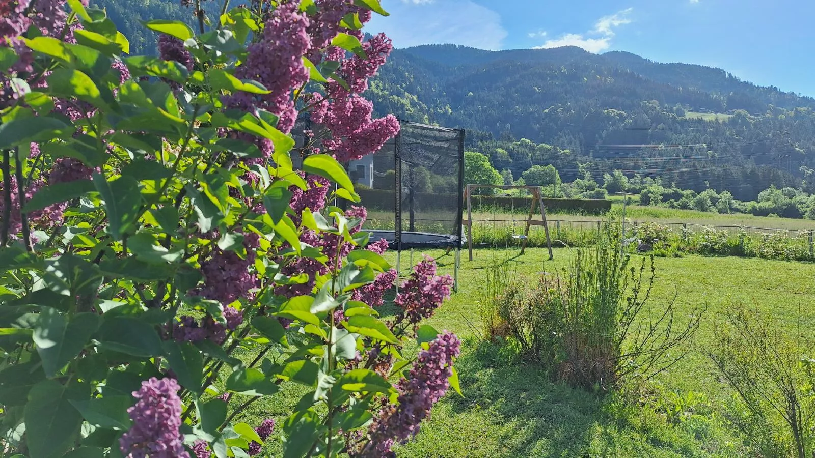 Jukbichl 1-Gardens summer