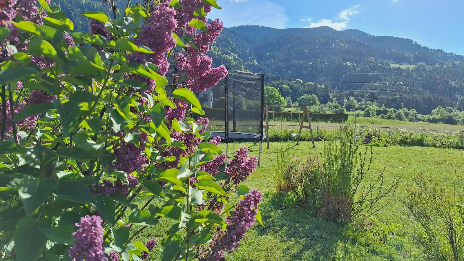 Jukbichl 2-Gardens summer
