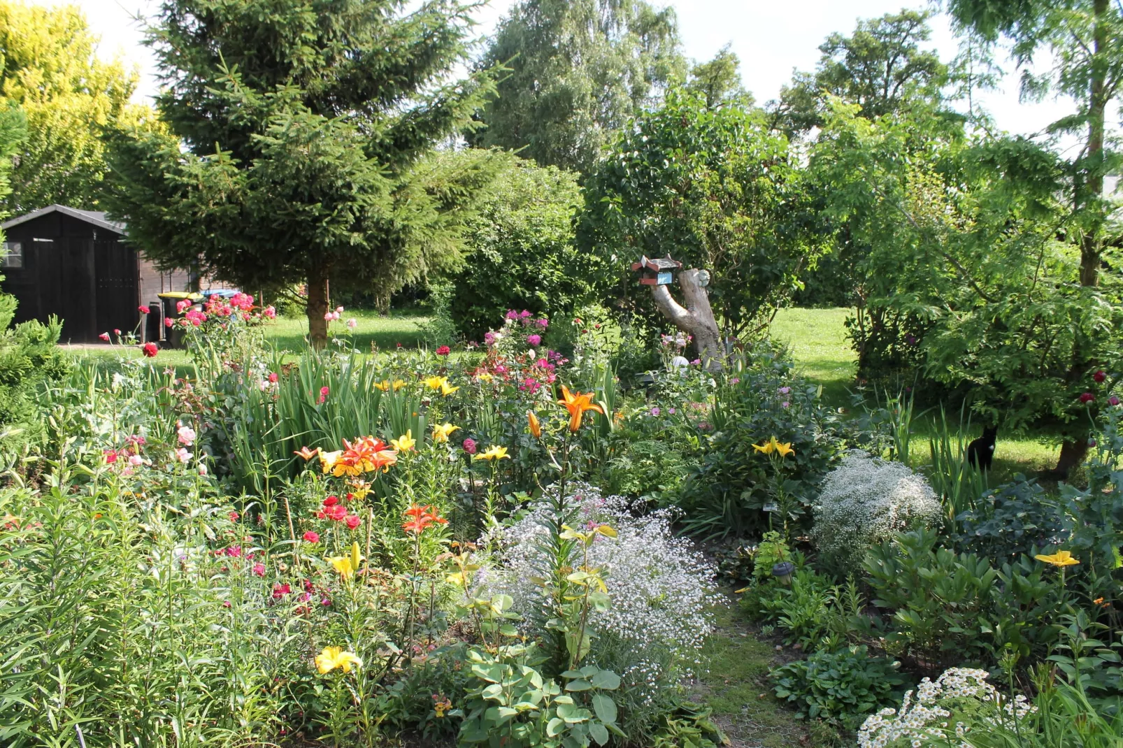 Wohnen im Grünen mit großem Garten und Grill-Exterior summer