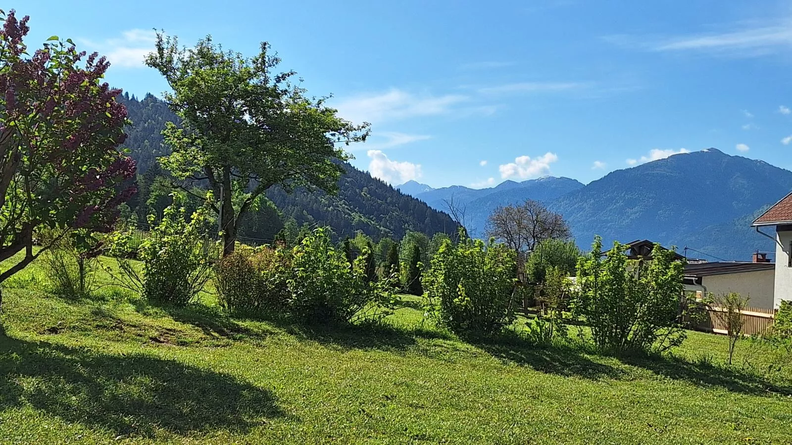 Jukbichl-Gardens summer