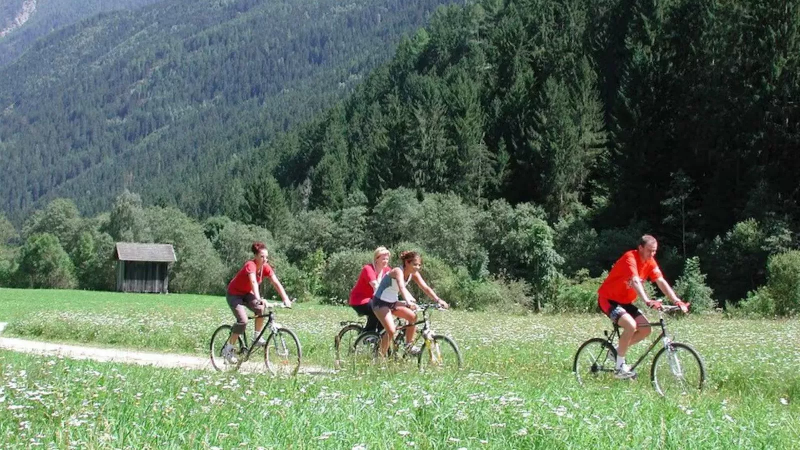 Almhütte Unterhofer-Areas summer 5km