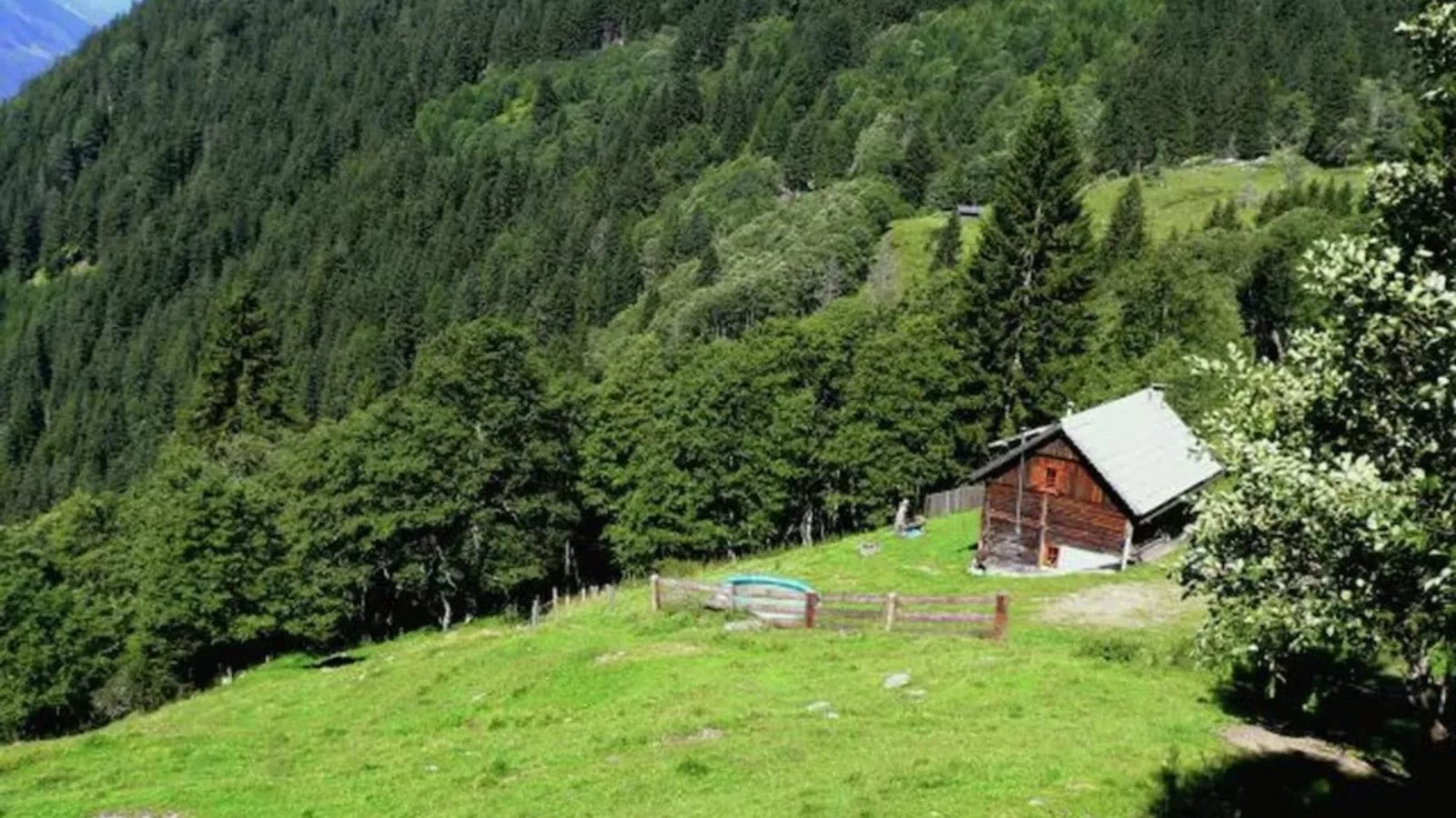 Almhütte Unterhofer-Areas summer 1km