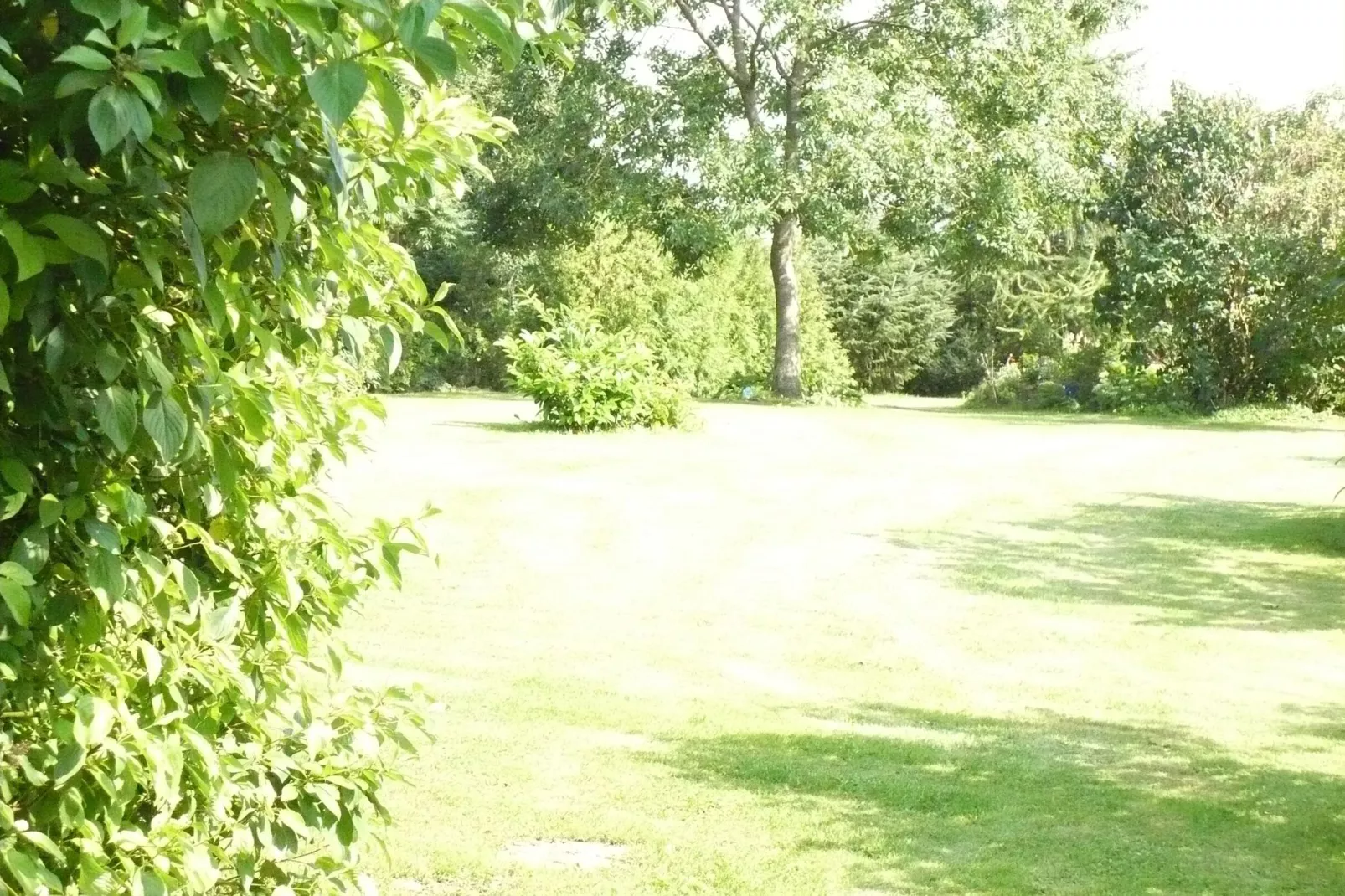 Wohnen im Grünen mit großem Garten und Grill-Gardens summer