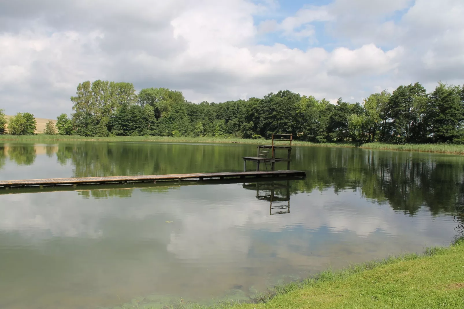 Wohnen im Grünen mit großem Garten und Grill-Areas summer 1km