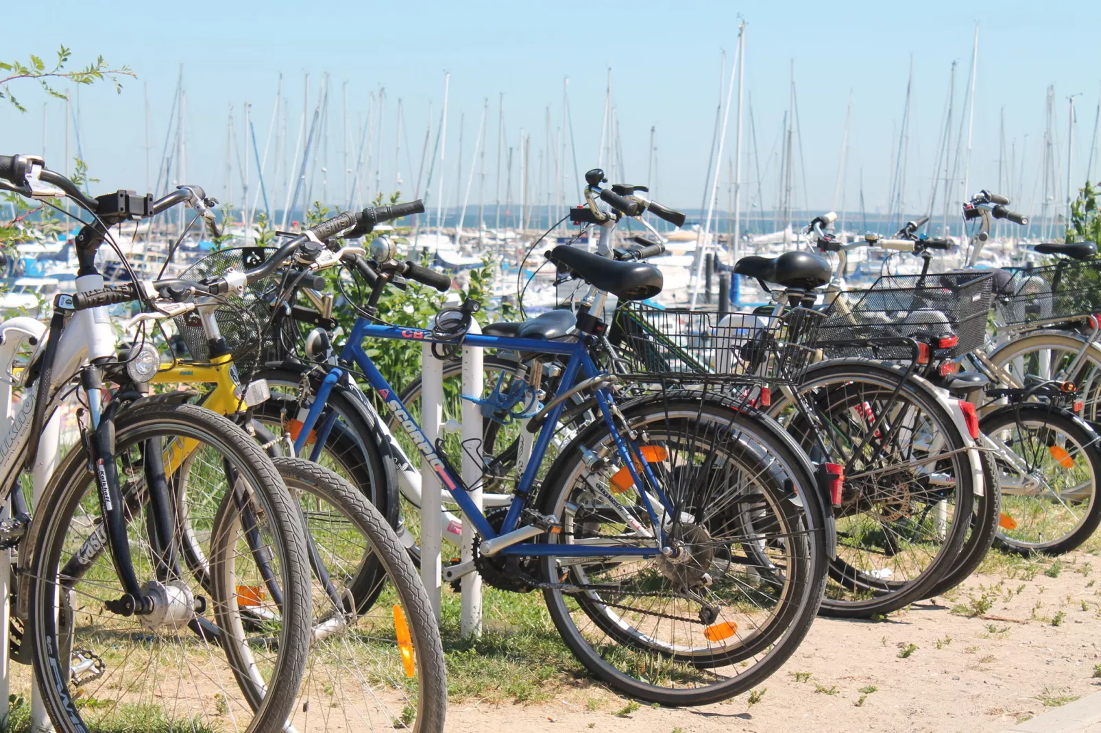 Romantische Ferienwohnung an der Ostsee mit Garten-Gebiete Sommer 20 km