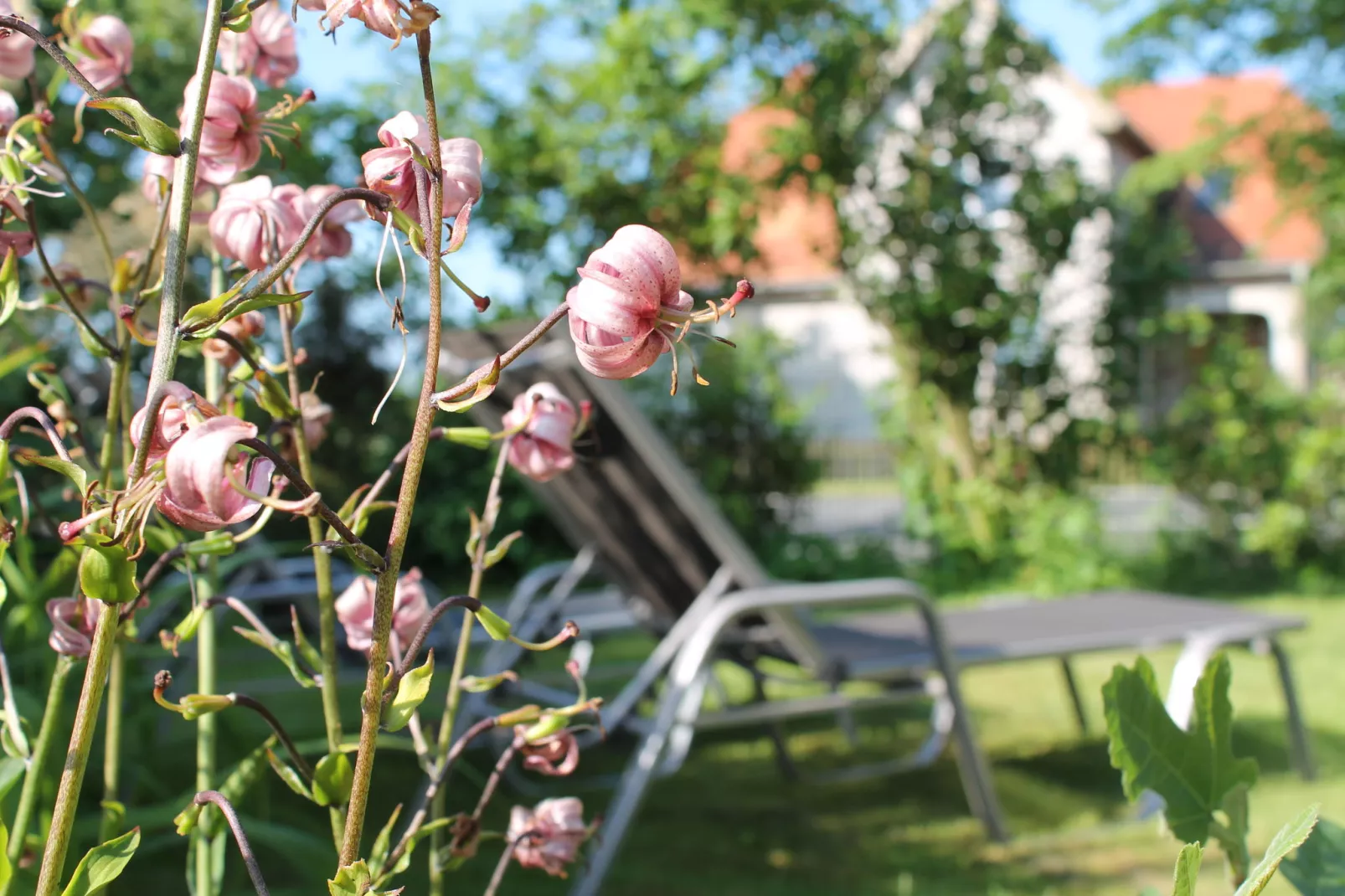 Romantische Ferienwohnung an der Ostsee mit Garten-Ambiente