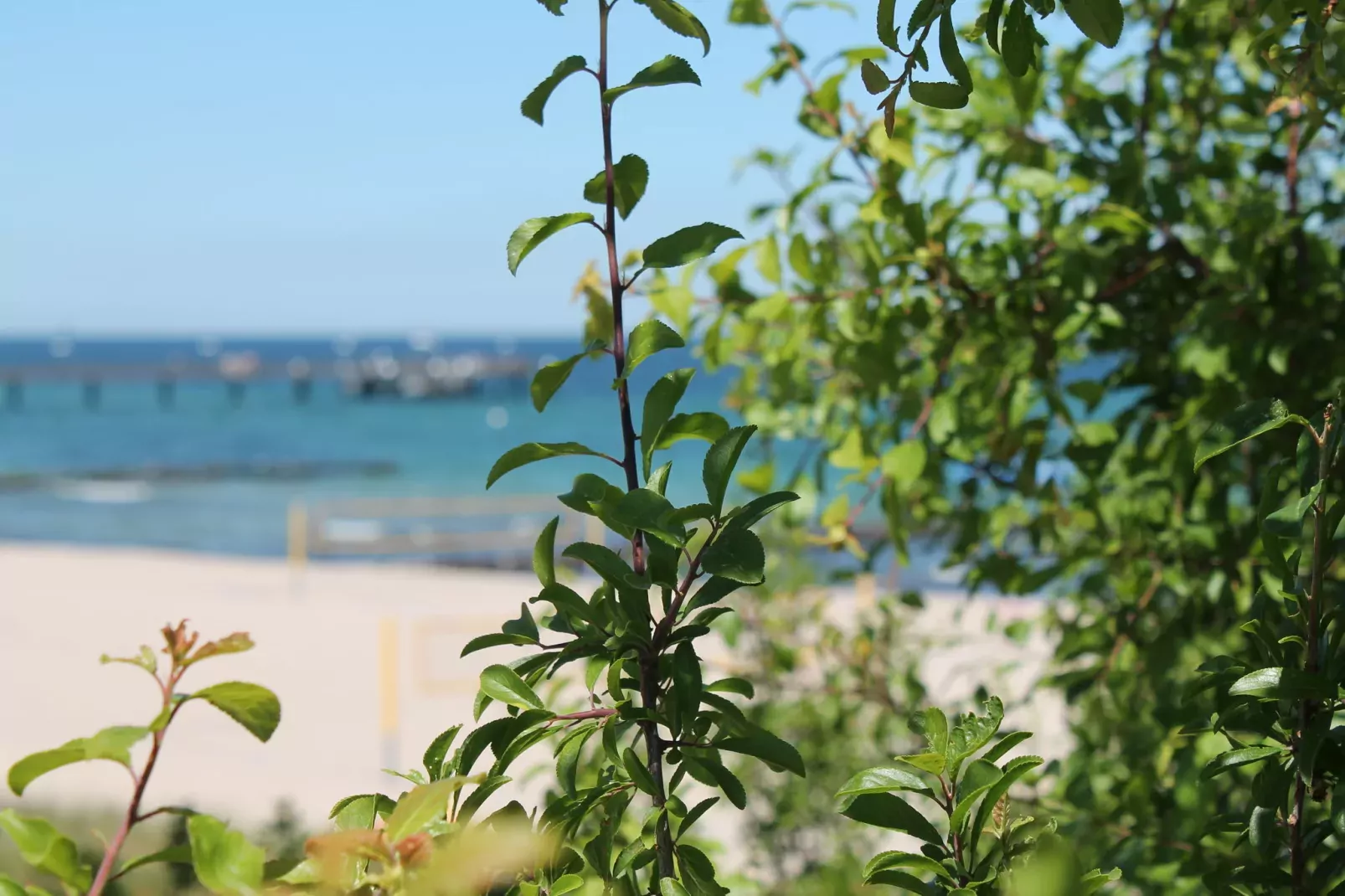 Landhauswohnung an der Ostsee mit Garten-Gebiete Sommer 20 km