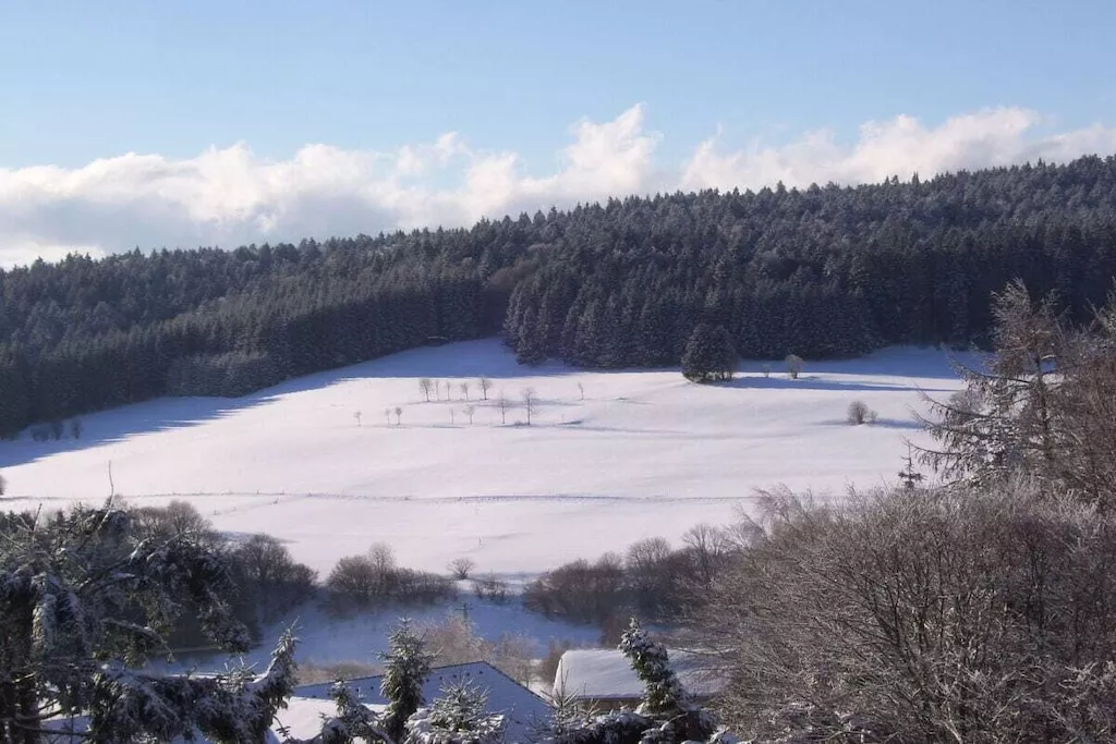 13650-Area winter 5km