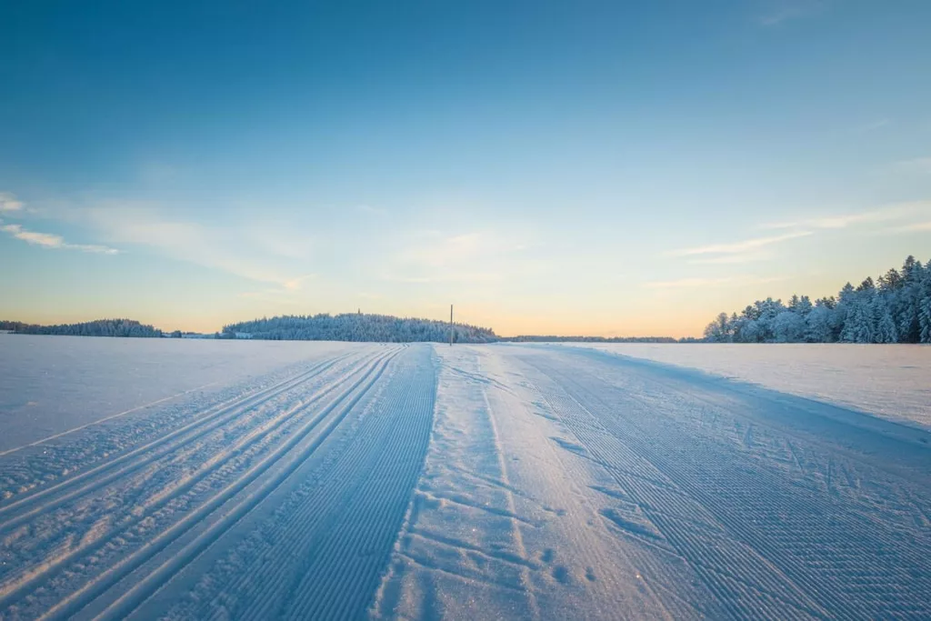 13650-Area winter 5km