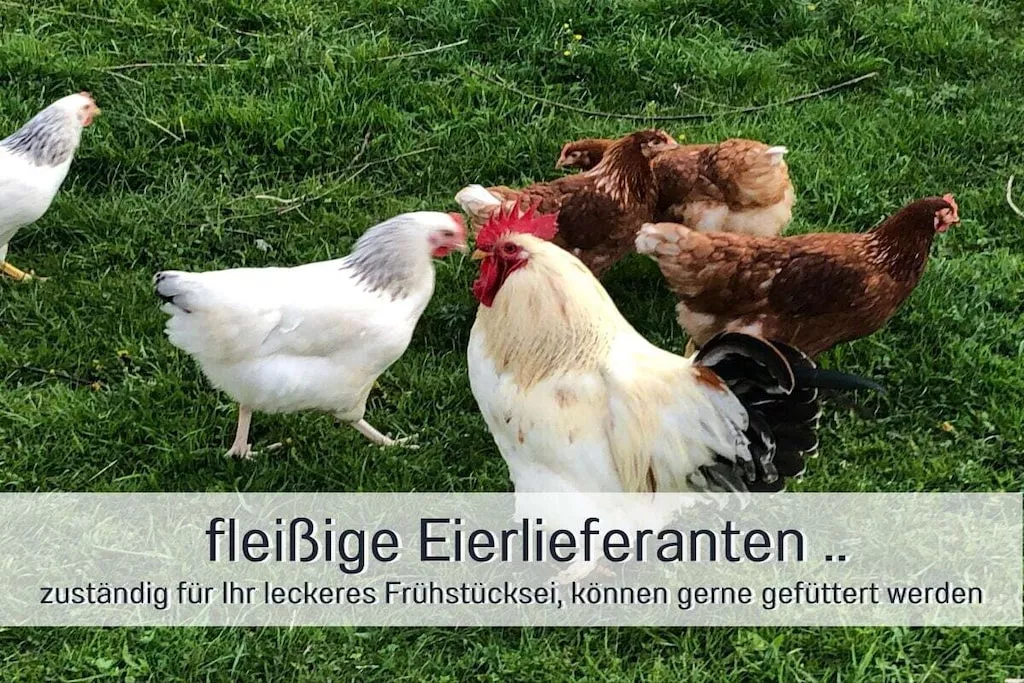 194219-Nicht getaggt