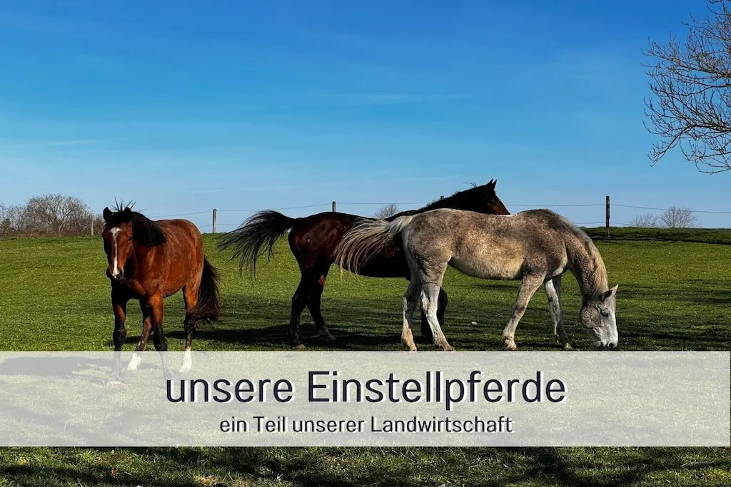 194219-Nicht getaggt