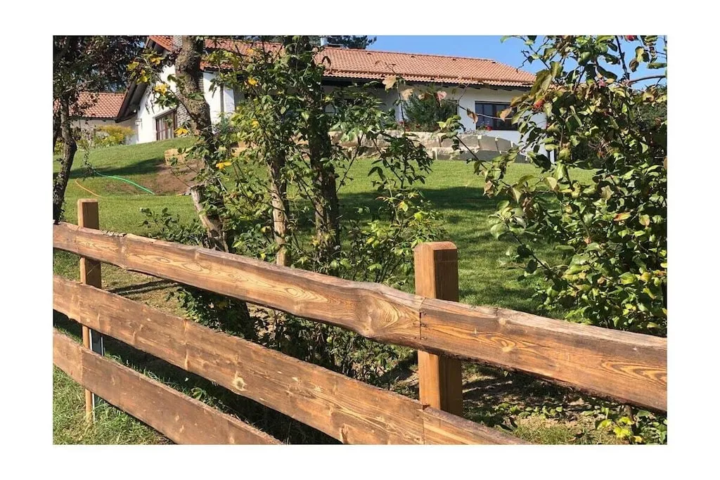 319022-Nicht getaggt