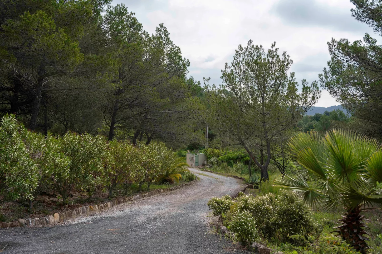 Imperiale-Areas summer 1km