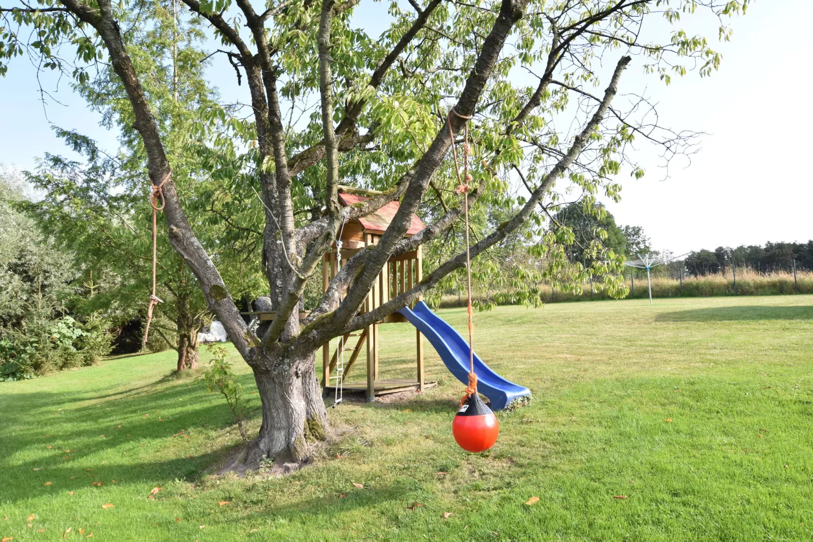 Platz im Grünen 1-Gardens summer
