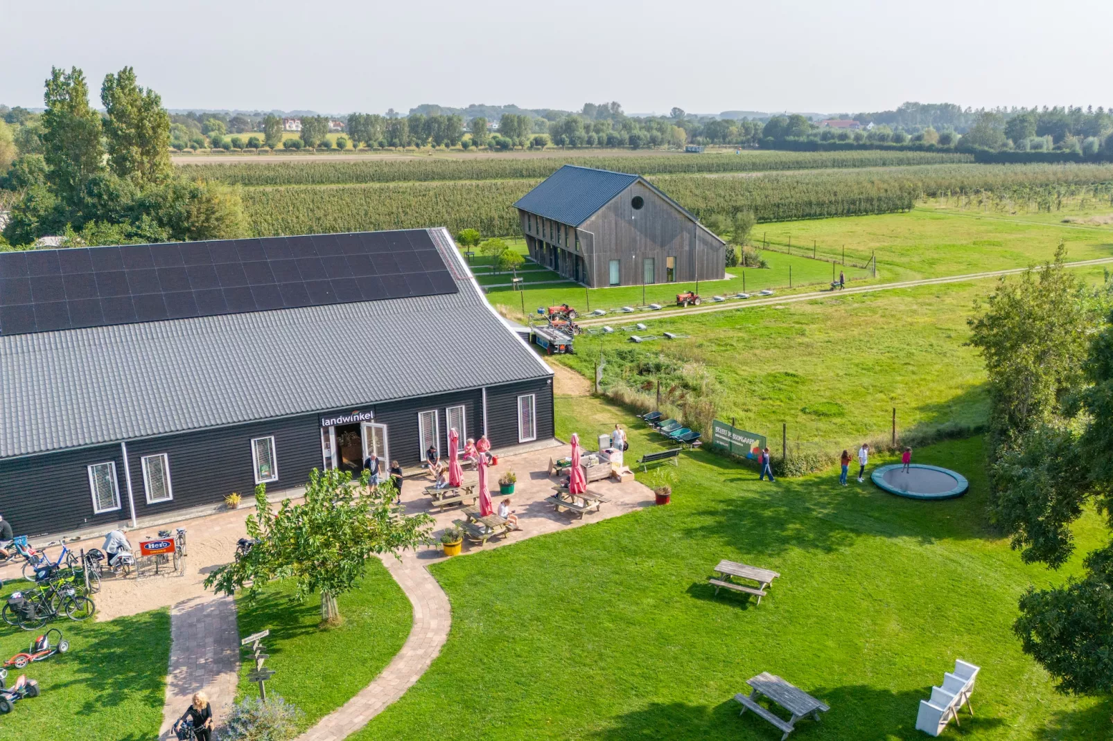 Vroondijk 2- duinappel en zonnebes-Exterior summer