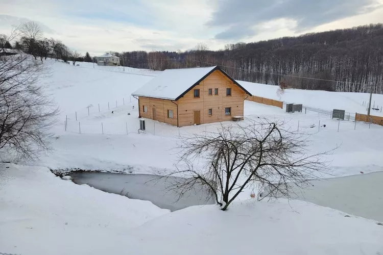 Komfortowy dom wakacyjny z basenem dla 10 osób-Exterior winter