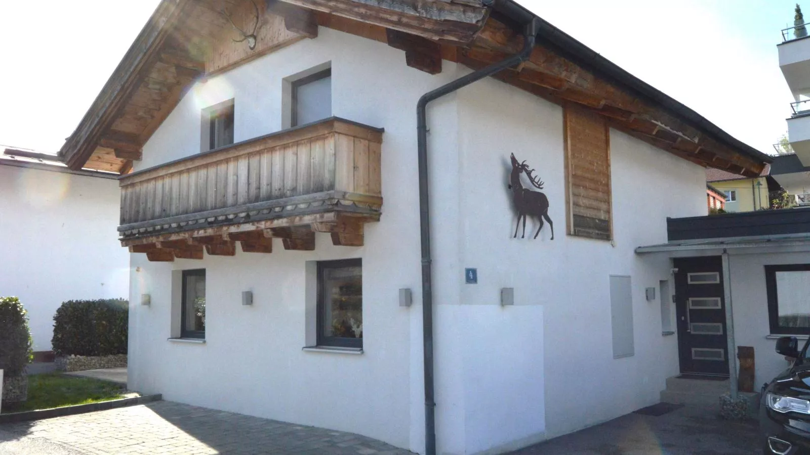 Cervus-Exterior summer