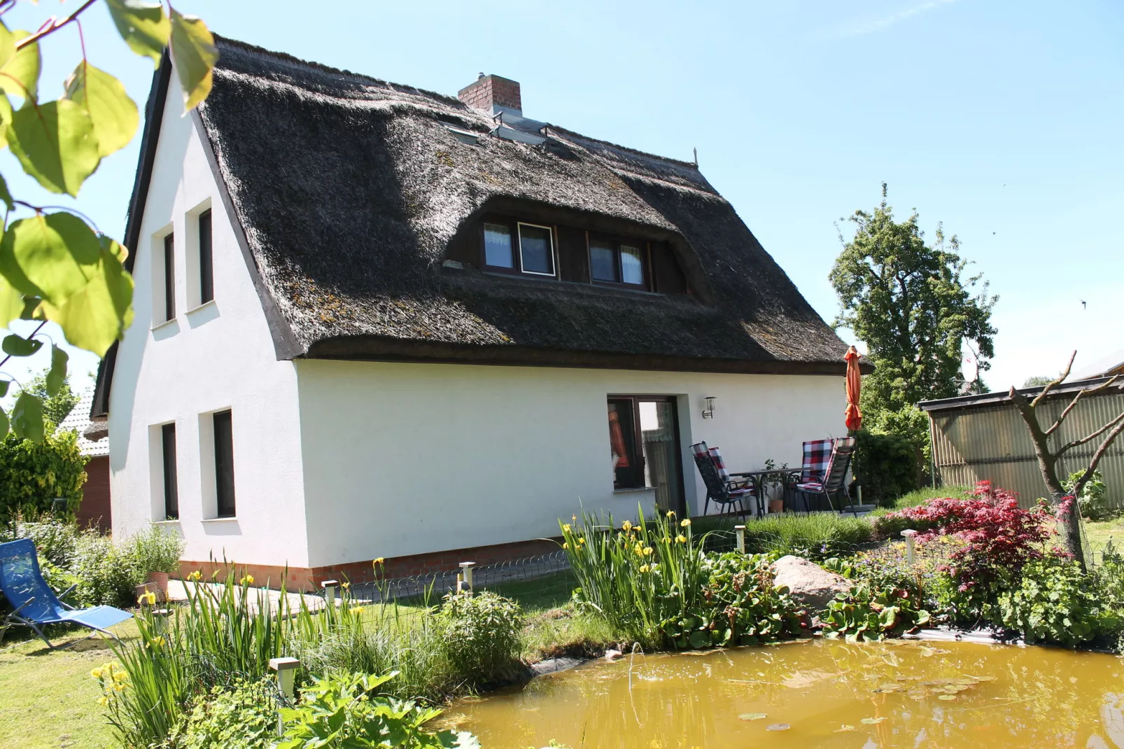 Eulenzimmer im Reetdachhaus-Exterior summer