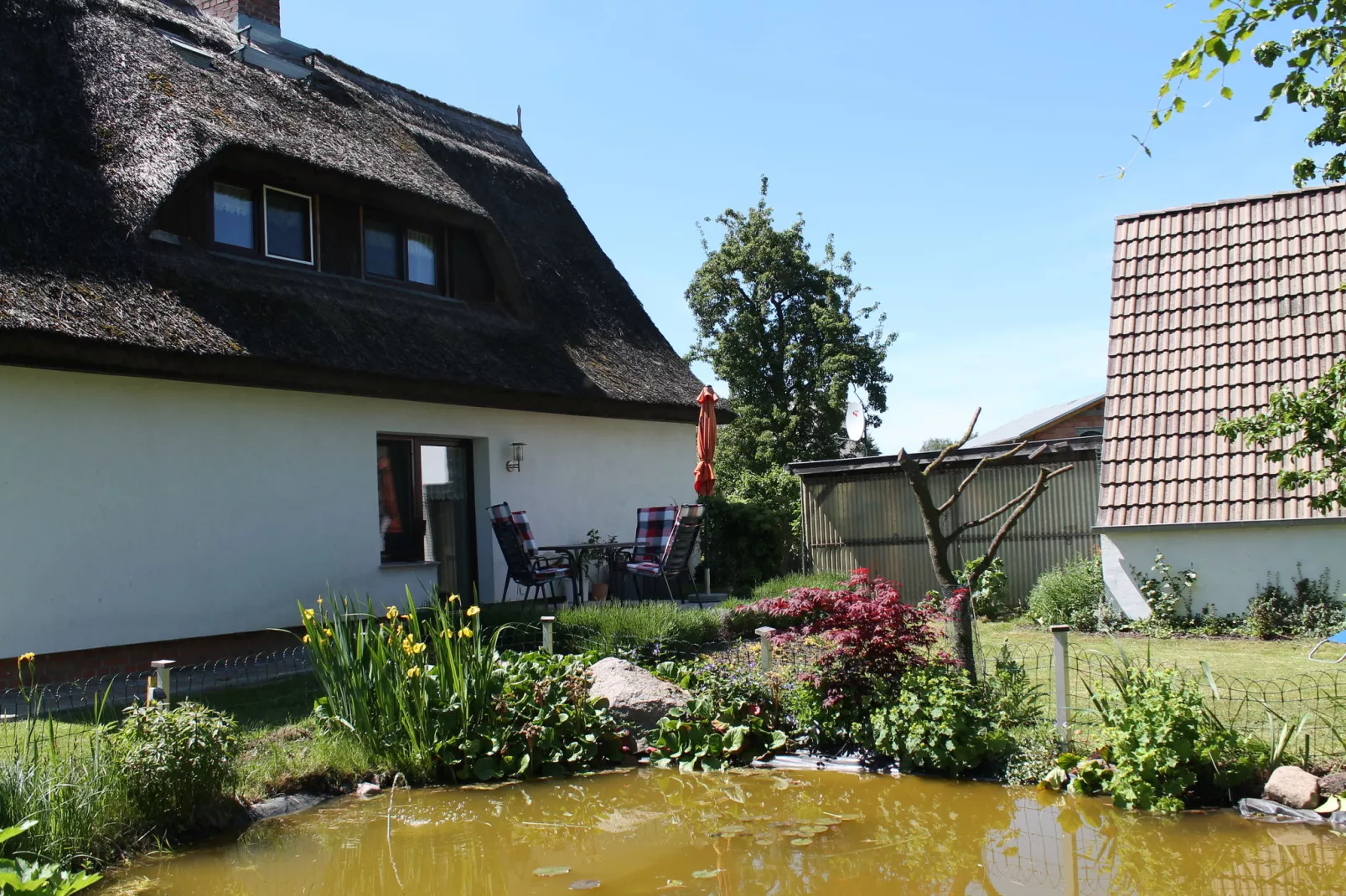 Eulenzimmer im Reetdachhaus-Gardens summer