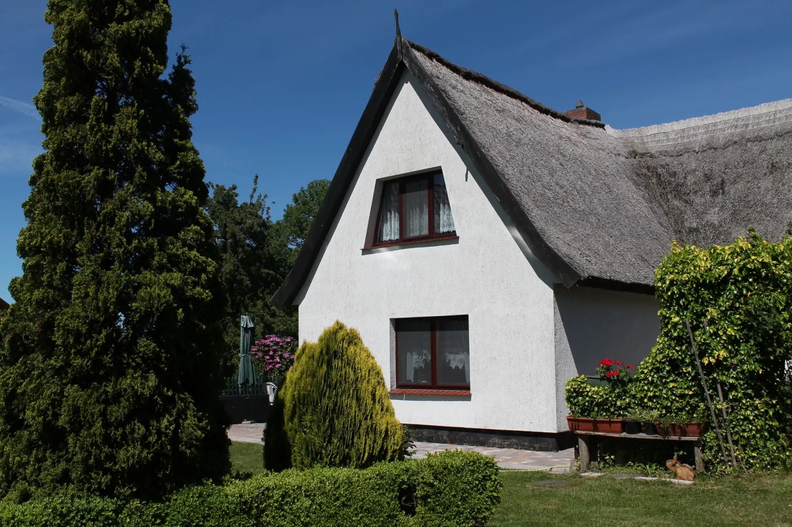Eulenzimmer im Reetdachhaus-Gardens summer