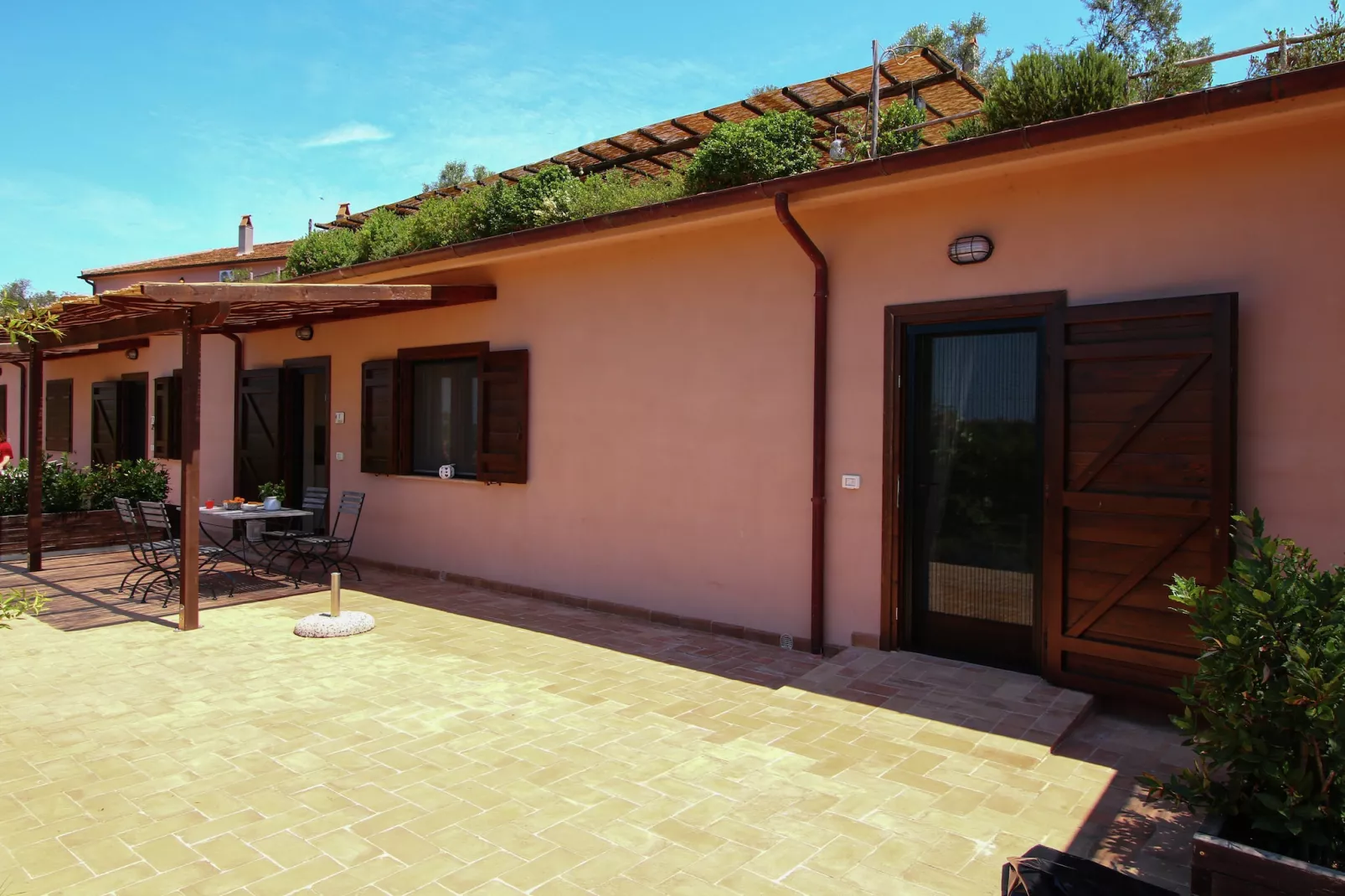 Rosa-Exterior summer