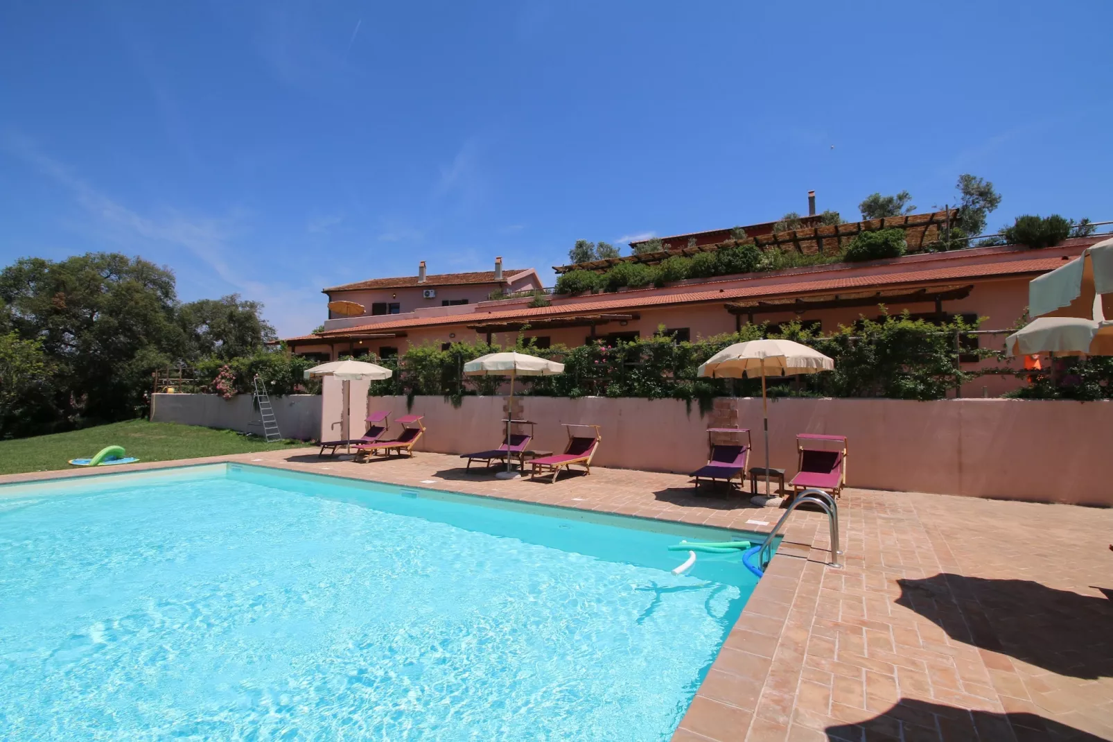 Rosa-Pool