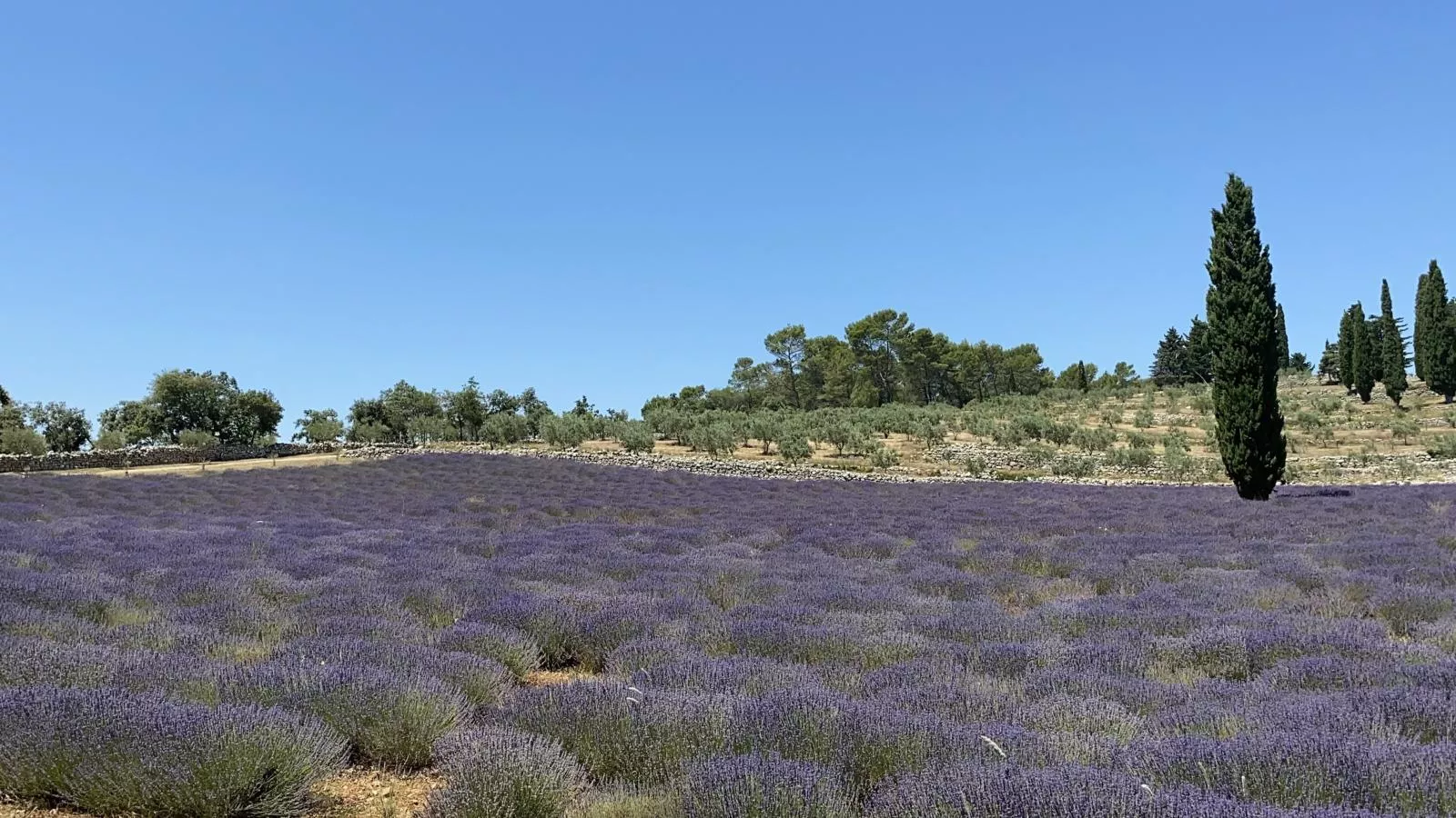 Plein Sud-Areas summer 20km