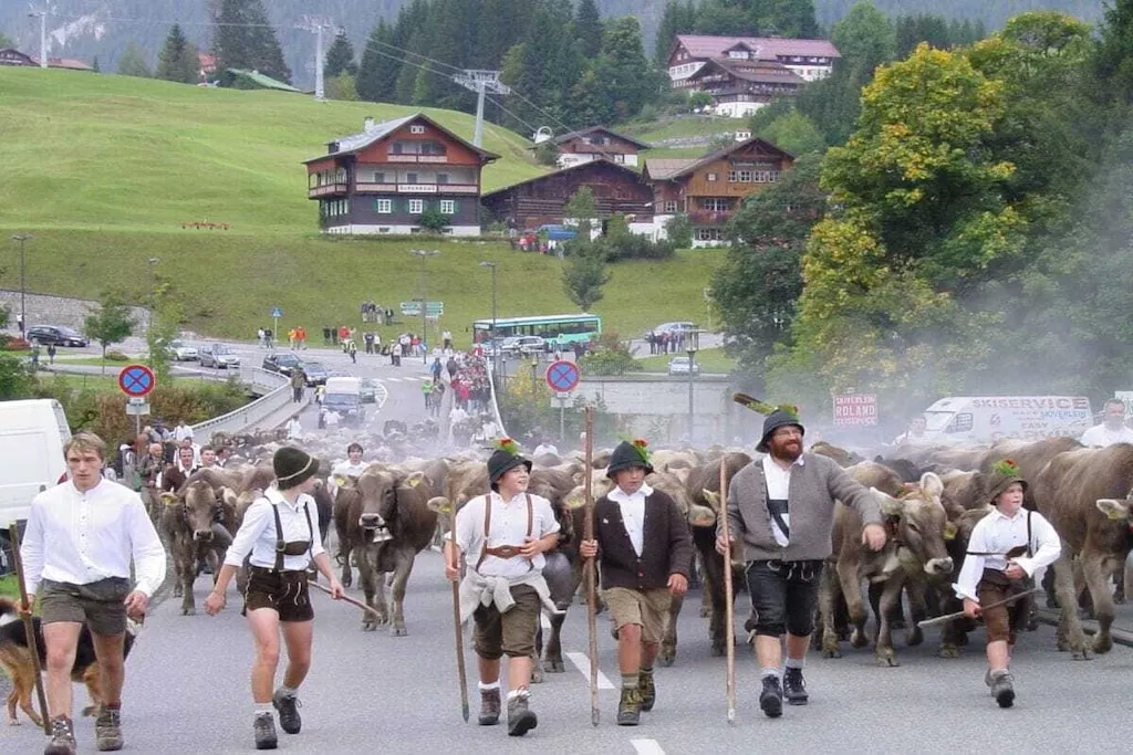 56203-Nicht getaggt