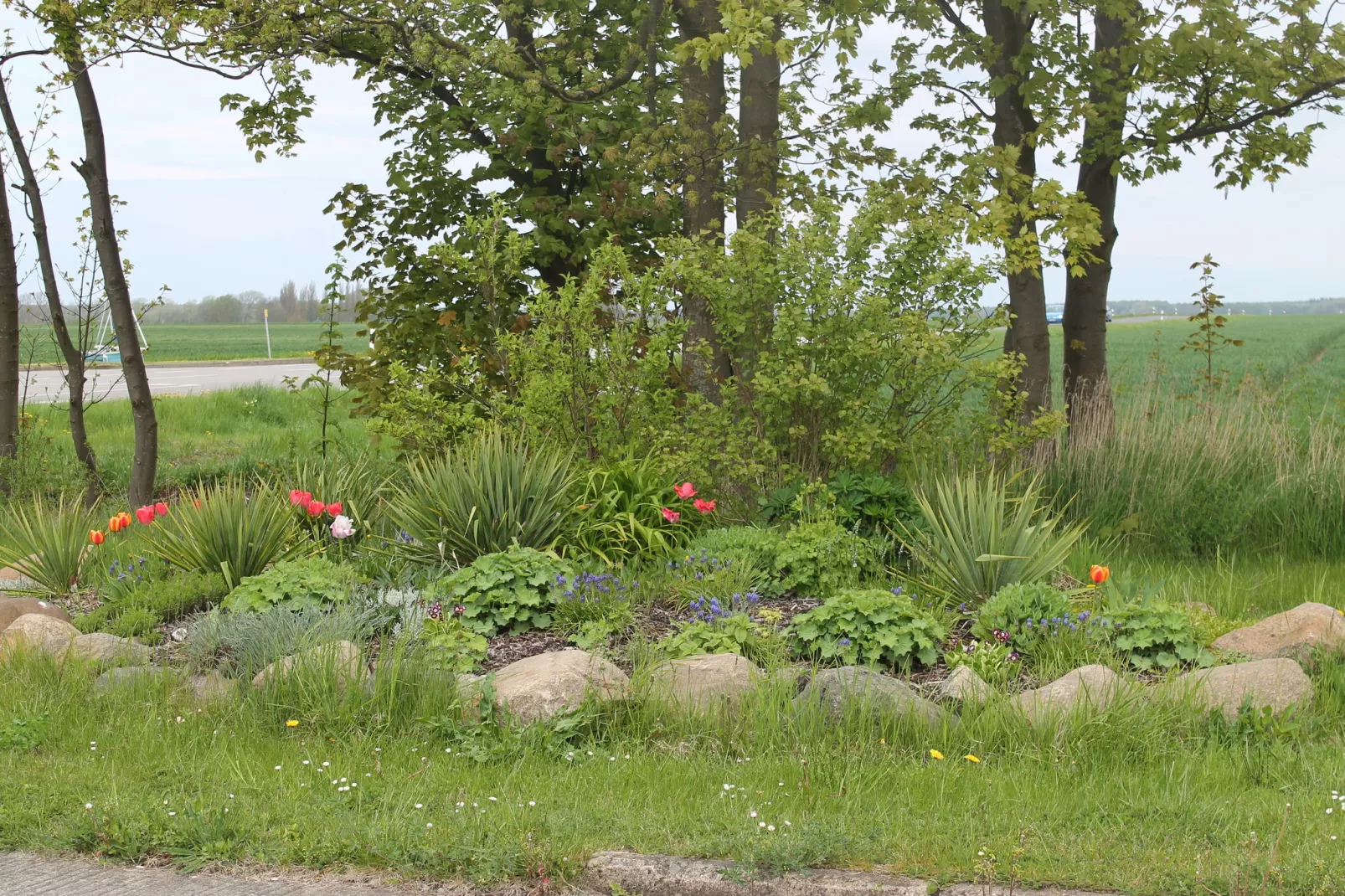Wildgans 1-Gardens summer
