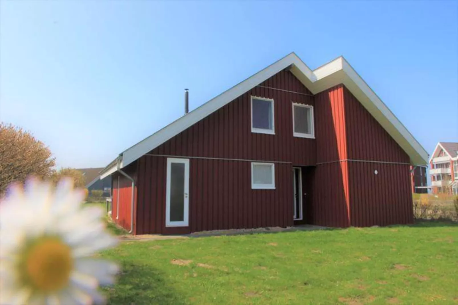 Wildgans Classic 9-Exterior summer