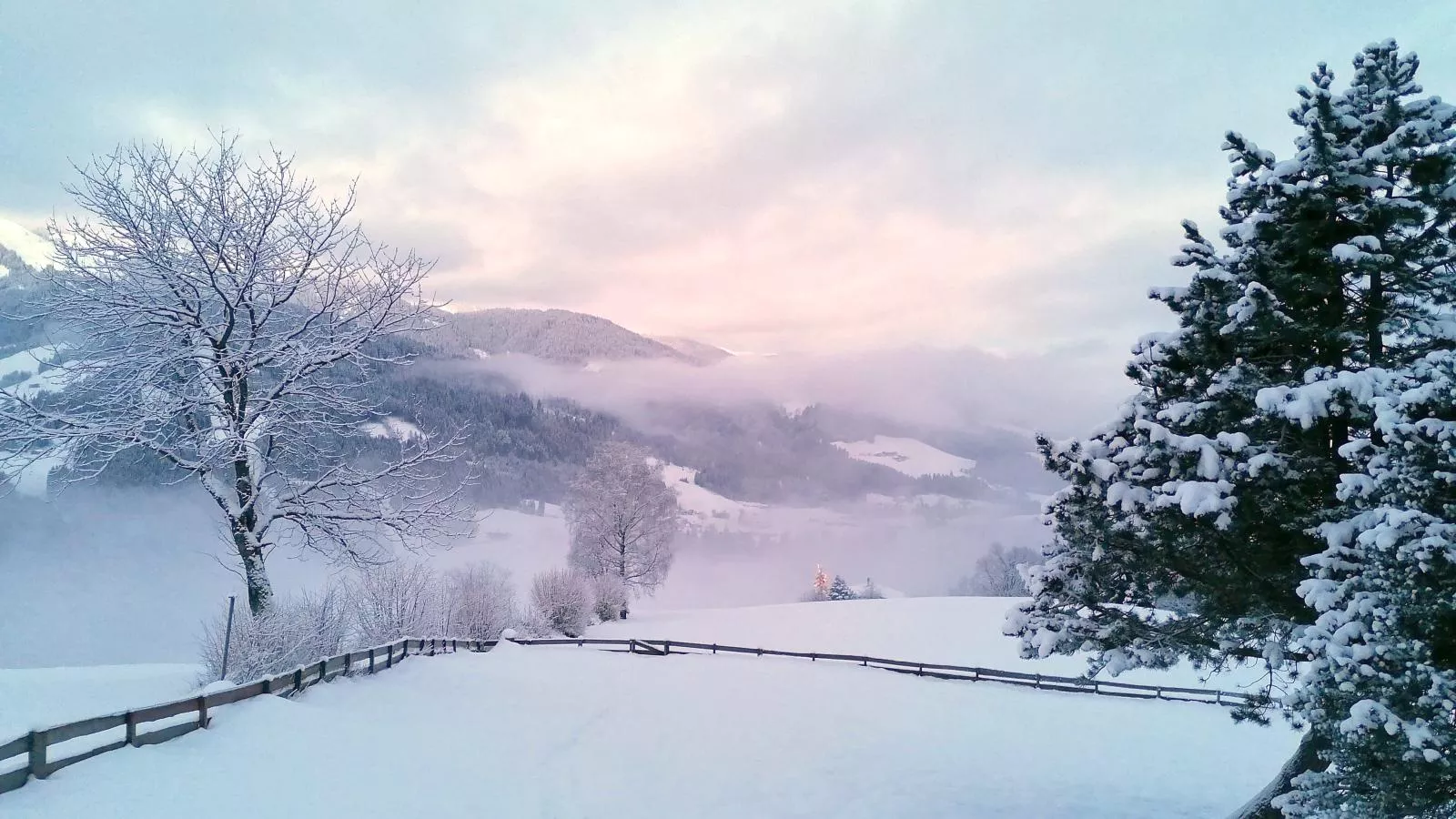 Hütte zum Dillental-View winter