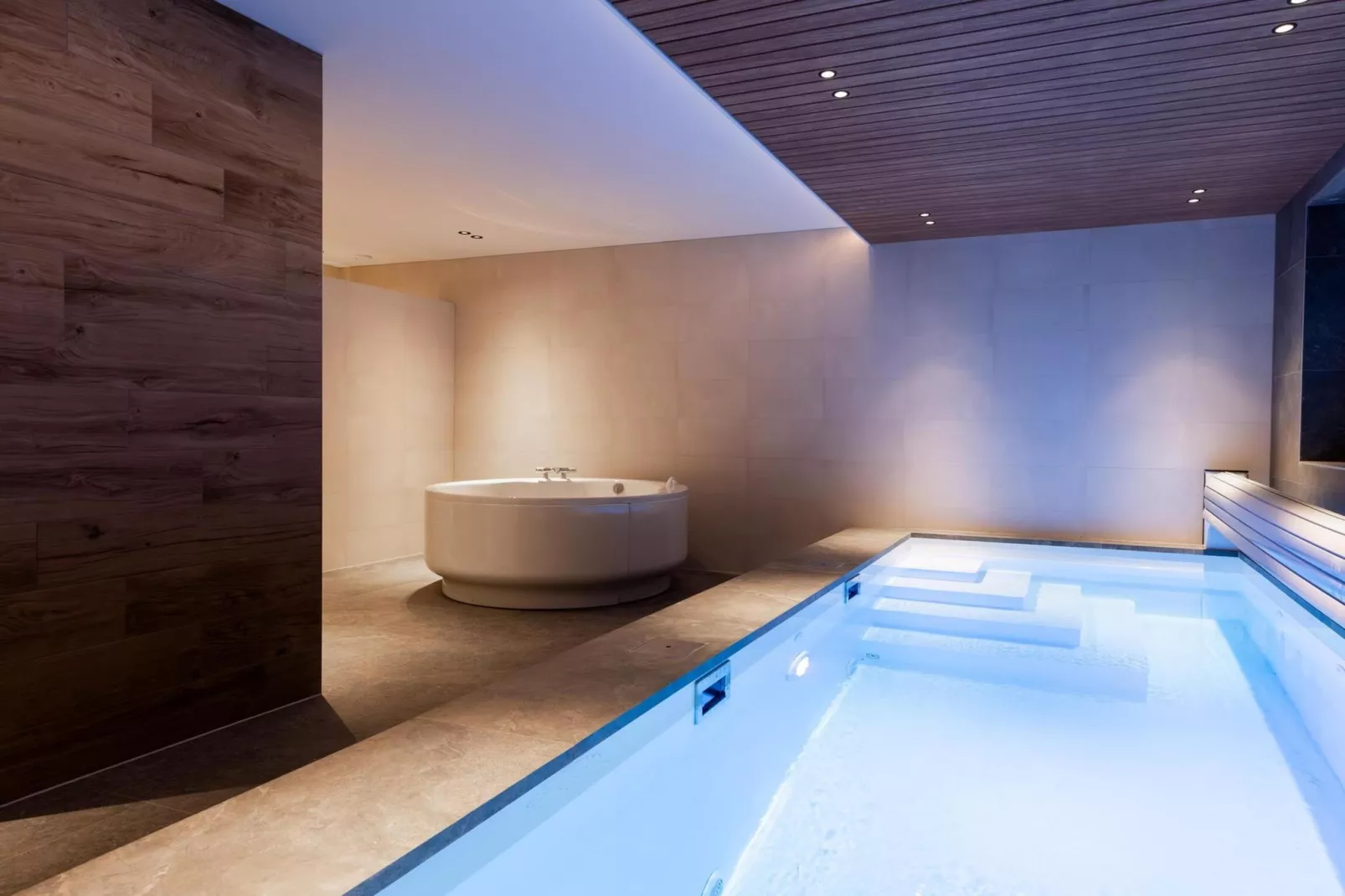 Veluwe Villa Wellness-Pool