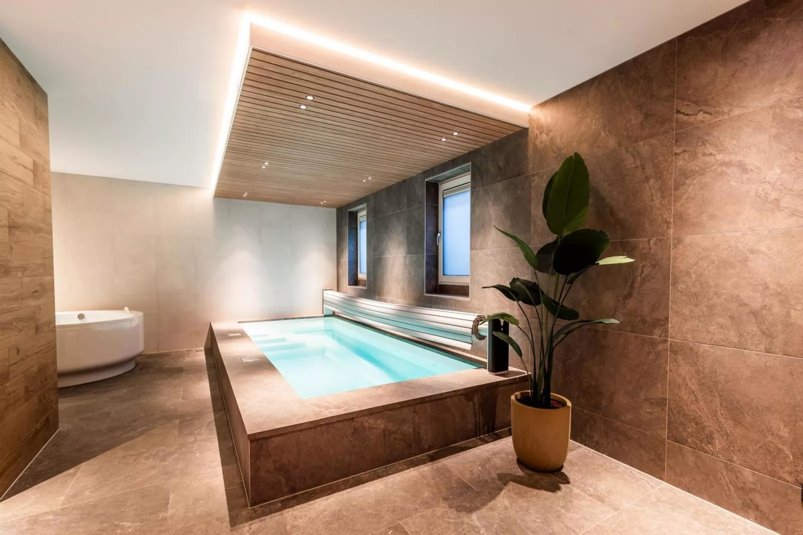 Veluwe Villa Wellness-Pool