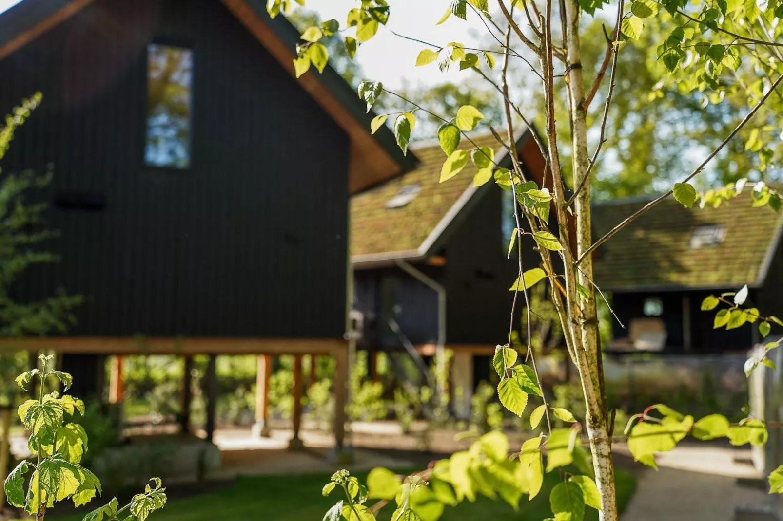 Natuur Villa  4 personen-Atmosphere