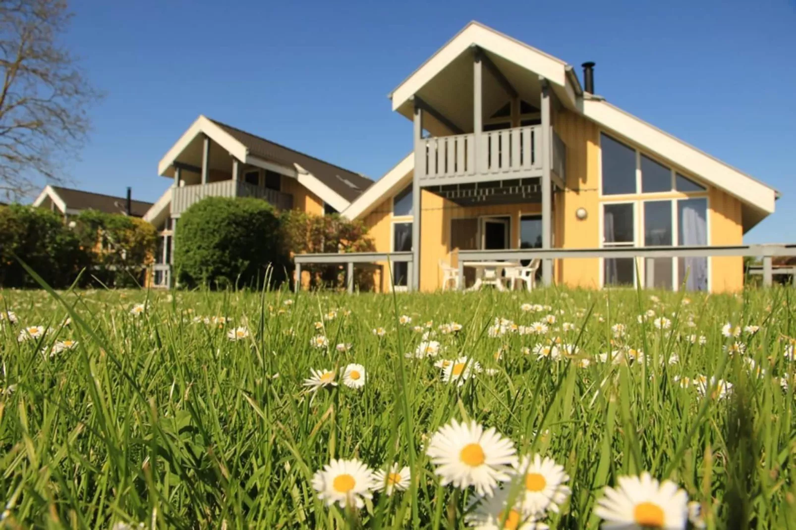 Ferienhaus Seeschwalbe-Classic 90 qm 41-Gardens summer
